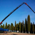 Camiones grua