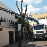 Especialistas en gruas en espacios reducidos
